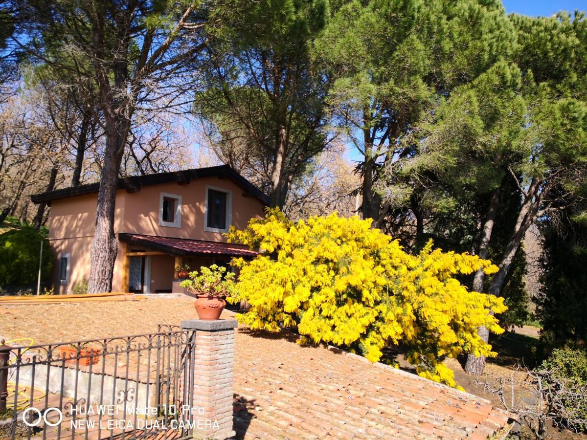 Feudo Algerazzi Vila Zafferana Etnea Exterior foto